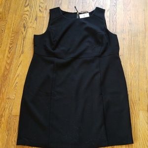 NWT Loft Plus Paneled Sheath Dress size 26